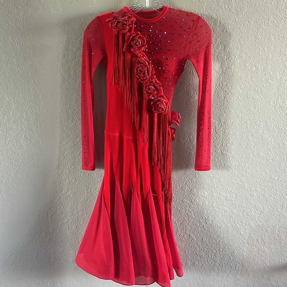 Ballroom Dancing Dress